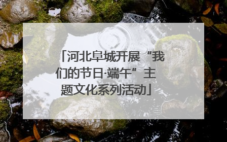 河北阜城开展“我们的节日·端午”主题文化系列活动